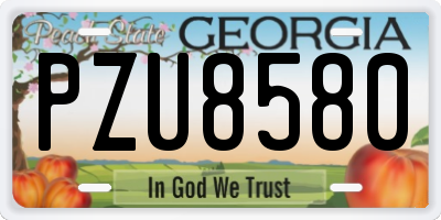 GA license plate PZU8580