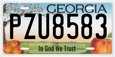 GA license plate PZU8583