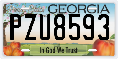 GA license plate PZU8593