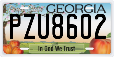 GA license plate PZU8602