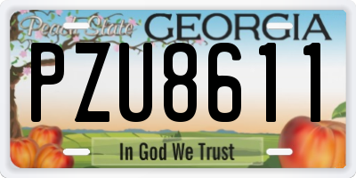 GA license plate PZU8611
