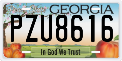 GA license plate PZU8616