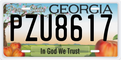 GA license plate PZU8617