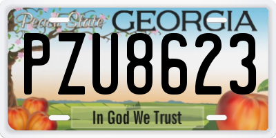 GA license plate PZU8623