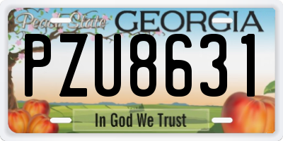 GA license plate PZU8631