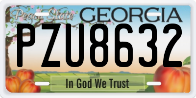 GA license plate PZU8632