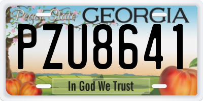 GA license plate PZU8641