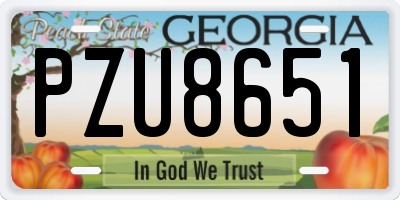 GA license plate PZU8651