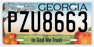 GA license plate PZU8663