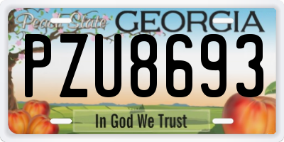 GA license plate PZU8693