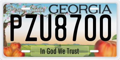 GA license plate PZU8700