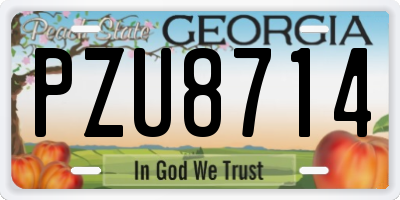 GA license plate PZU8714
