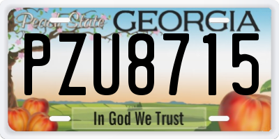 GA license plate PZU8715