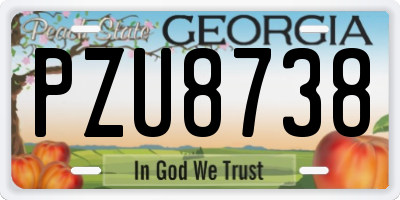 GA license plate PZU8738