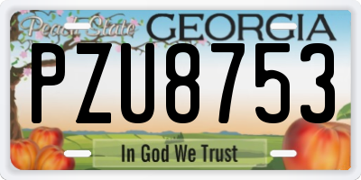 GA license plate PZU8753