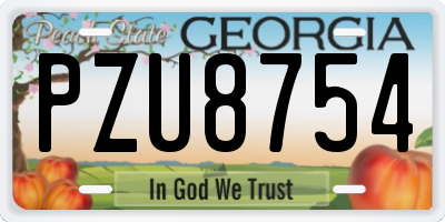 GA license plate PZU8754