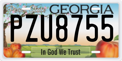 GA license plate PZU8755