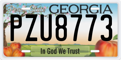 GA license plate PZU8773