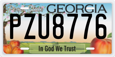GA license plate PZU8776