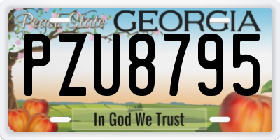GA license plate PZU8795