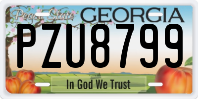 GA license plate PZU8799