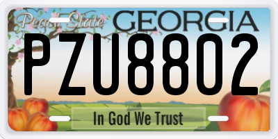 GA license plate PZU8802