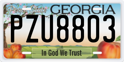 GA license plate PZU8803