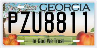 GA license plate PZU8811
