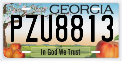GA license plate PZU8813