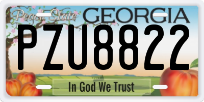 GA license plate PZU8822