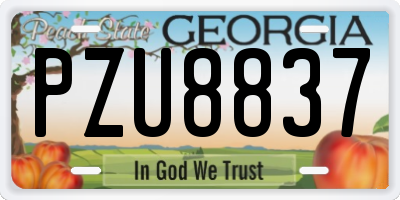 GA license plate PZU8837