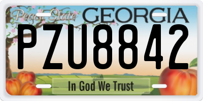 GA license plate PZU8842
