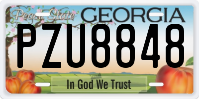 GA license plate PZU8848