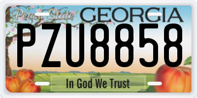 GA license plate PZU8858