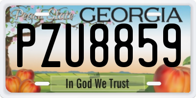 GA license plate PZU8859