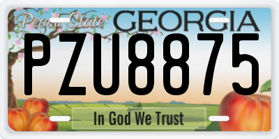 GA license plate PZU8875