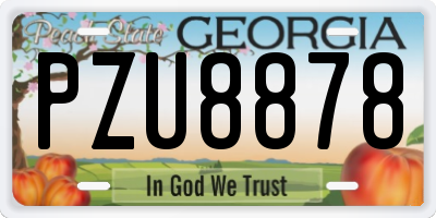 GA license plate PZU8878