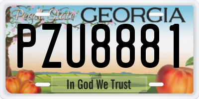 GA license plate PZU8881