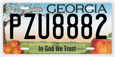 GA license plate PZU8882