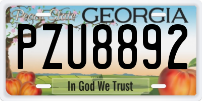 GA license plate PZU8892