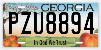 GA license plate PZU8894