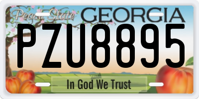 GA license plate PZU8895