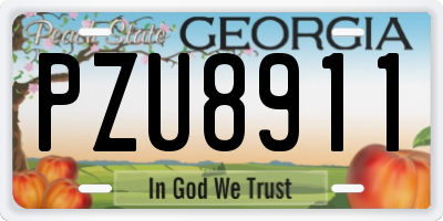 GA license plate PZU8911