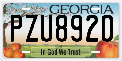 GA license plate PZU8920