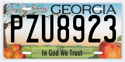 GA license plate PZU8923