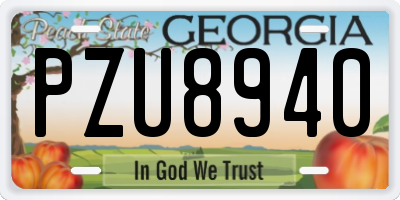 GA license plate PZU8940