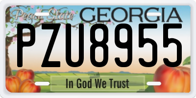 GA license plate PZU8955