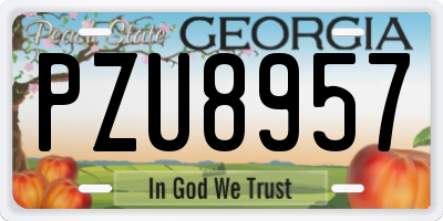GA license plate PZU8957