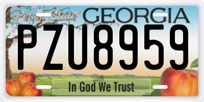 GA license plate PZU8959