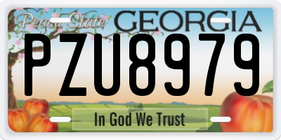 GA license plate PZU8979